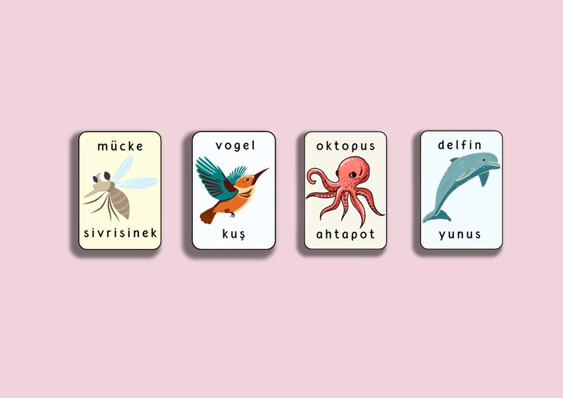 May include: Four colorful flashcards with German and English words for different animals. The cards feature illustrations of a mosquito, a bird, an octopus, and a dolphin.