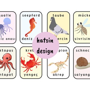 May include: A set of eight illustrated flashcards featuring various animals in German and Turkish. The cards are yellow with black borders and feature colorful illustrations of a jellyfish, seahorse, pigeon, mosquito, octopus, crab, scorpion, and snail.