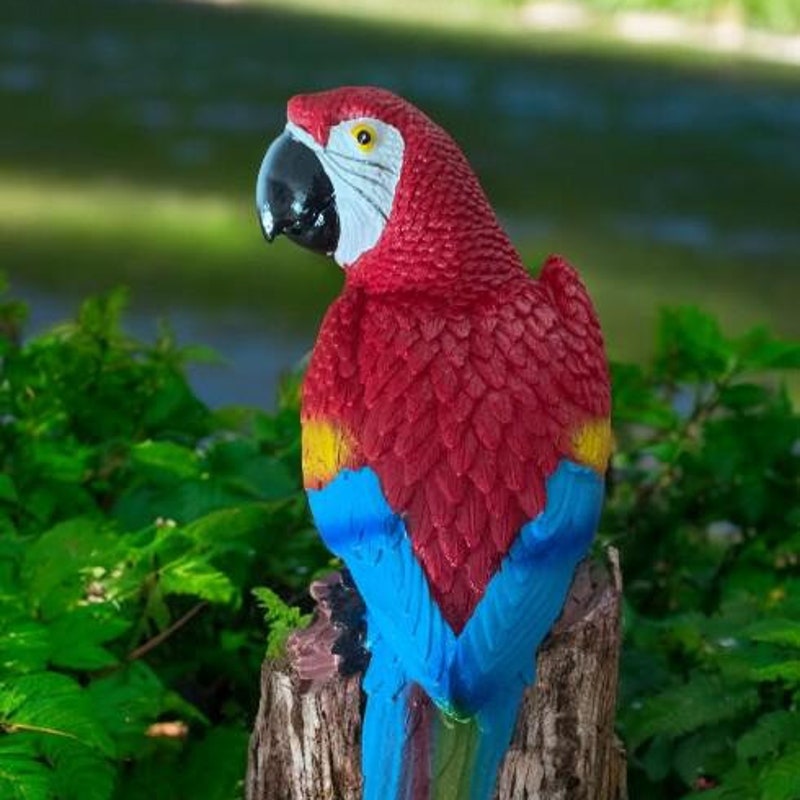 Picture of Parrot Outdoor Decor - Etsy