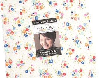 Moda CALI & CO. Layer Cake by Corey Yoder 10" Precut Fabric Squares (42 pcs)