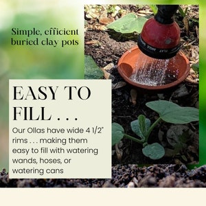 Buried Olla being filled with a water wand.  Our Ollas are easy to fill!