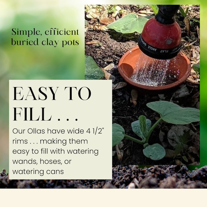 Buried Olla being filled with a water wand.  Our Ollas are easy to fill!