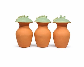 Regaderas de arcilla Olla - Tamaño de un cuarto de galón, autorriego, juego de 3 con tapas de menta verde