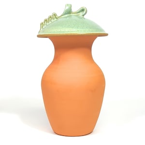 Terracotta Olla Watering Pot – Quart Size, Peppermint Green Lid