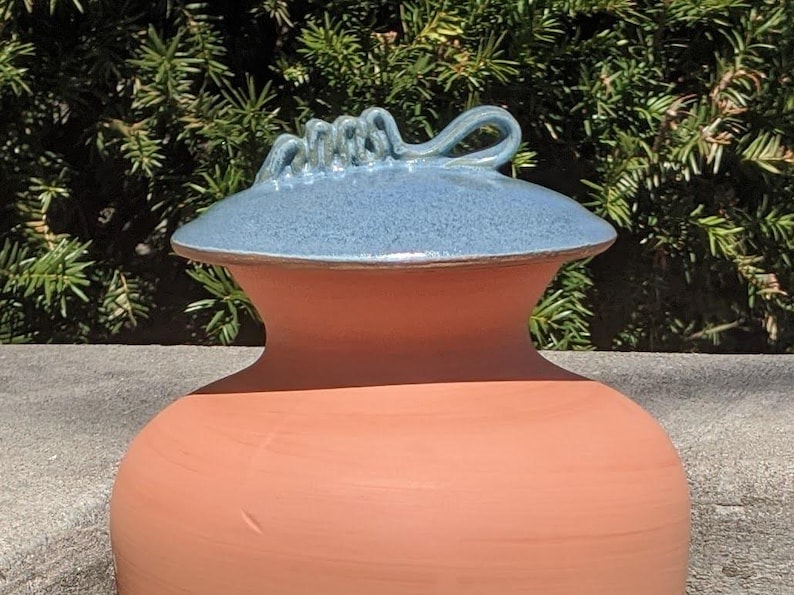 Olla grande de terracota con autorriego para jardinería resistente a la sequía - 1.25 galones imagen 14