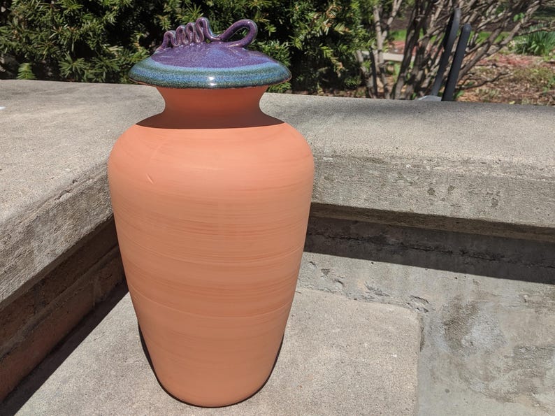 Puede incluir: Un jarr&oacute;n de cer&aacute;mica grande, de color terracota, con tapa a juego. La tapa tiene un asa morada y un borde azul-verdoso. El jarr&oacute;n es cil&iacute;ndrico y est&aacute; sobre una superficie de hormig&oacute;n.