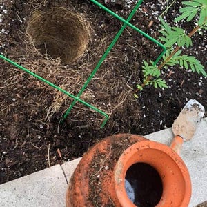 Puede incluir: Una maceta de terracota naranja con una abertura ancha se encuentra sobre una superficie de hormig&oacute;n, junto a una peque&ntilde;a paleta. Un agujero en el suelo est&aacute; rodeado por un enrejado verde. La escena sugiere jardiner&iacute;a o plantaci&oacute;n.