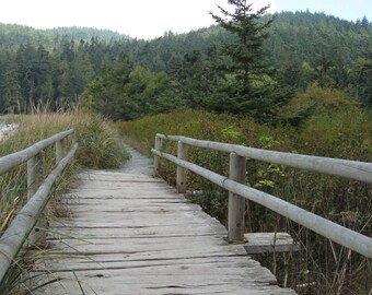 Giclee Print Landscape Boardwalk bridge Whidbey Island Photograph by RSalcedo Etsy Free Shipping