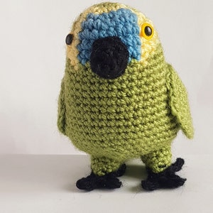 Parrot Crochet Pattern Amigurumi Bird image 2