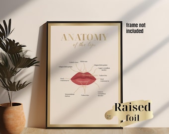 Gold Foil Lips Anatomy Poster: Personalized Cosmetic Clinic Decor