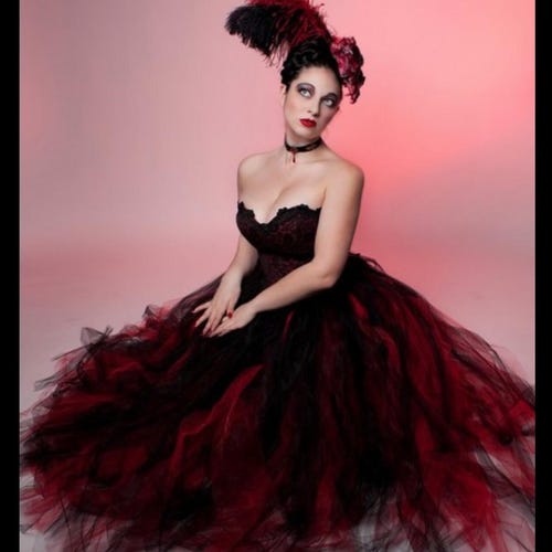 red tutu dress for adults Whimsical Swan Adult Ballet Costume Rent / Large Womens Tutu Mini Dress Red in Size Small by Outcast Benefis Costume Kitri Tutu- Adult