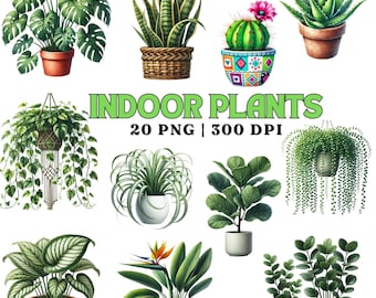Watercolor Indoor Plants Clipart: 20 PNG Illustrations (300 DPI)