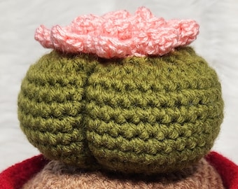 Cactus butt Crochet pattern PDF tutorial DIY step-by-step amigurumi plush Cactus