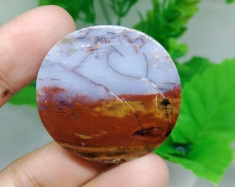 szenisch opalisiertes versteinertes Holz