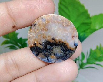 Opalized petrified wood