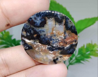 Opalized petrified wood