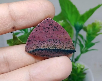 Opalized petrified wood