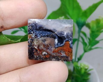 Opalized petrified wood