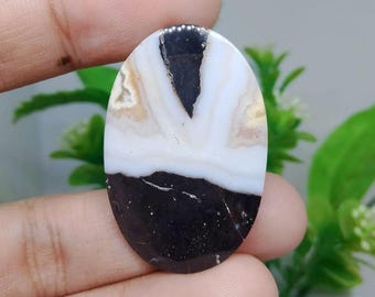 Opalized petrified wood