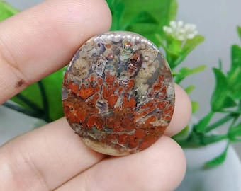 Plume opalized petrified wood