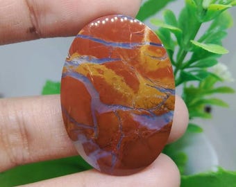opalized petrified wood