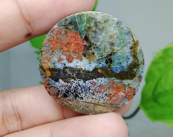 Opalized petrified wood