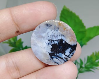 Opalized petrified wood