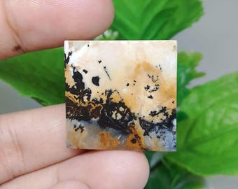 Opalized petrified wood
