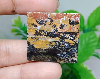 opalized petrified wood