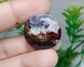 Opalisiertes versteinertes Holz