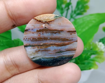 Opalized petrified wood