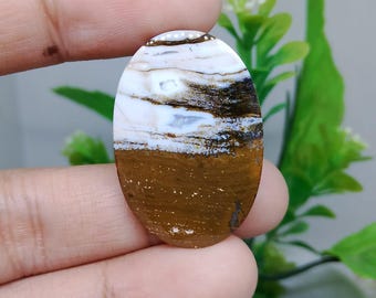 Opalisiertes versteinertes Holz
