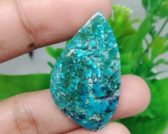 blau opalisiertes versteinertes Holz