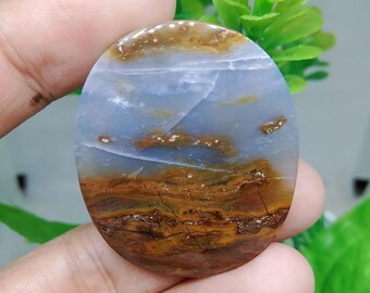opalisiertes versteinertes Holz