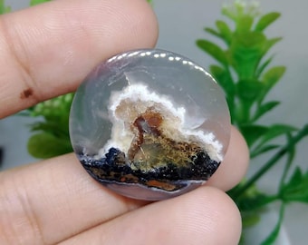 Opalisiertes versteinertes Holz