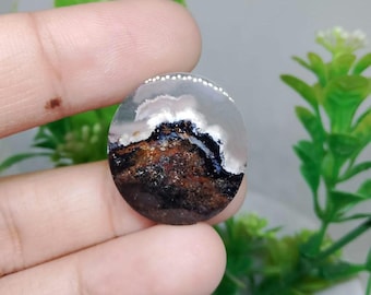 Opalisiertes versteinertes Holz