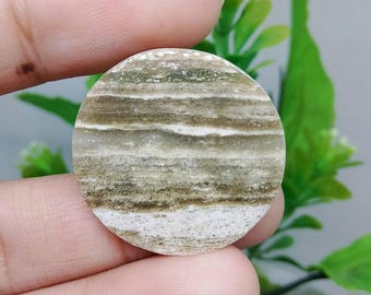 Opalisiertes versteinertes Holz