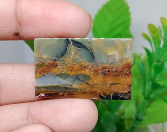 Opalisiertes versteinertes Holz