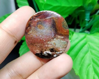 opalized petrified wood