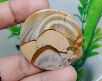 scenic opalized petrified wood