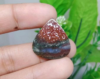 Opalized petrified wood