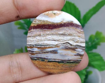scenic opalized petrified wood