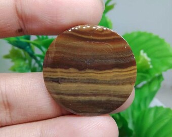 opalized petrified wood