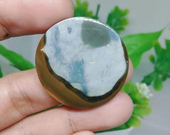 opalized petrified wood