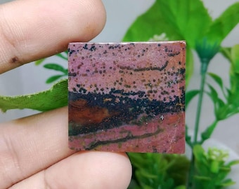 Opalized petrified wood