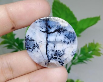 Opalized petrified wood dendritic