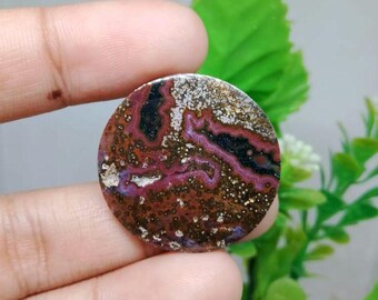 Opalized petrified wood