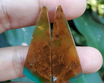 pair opalized petrified wood