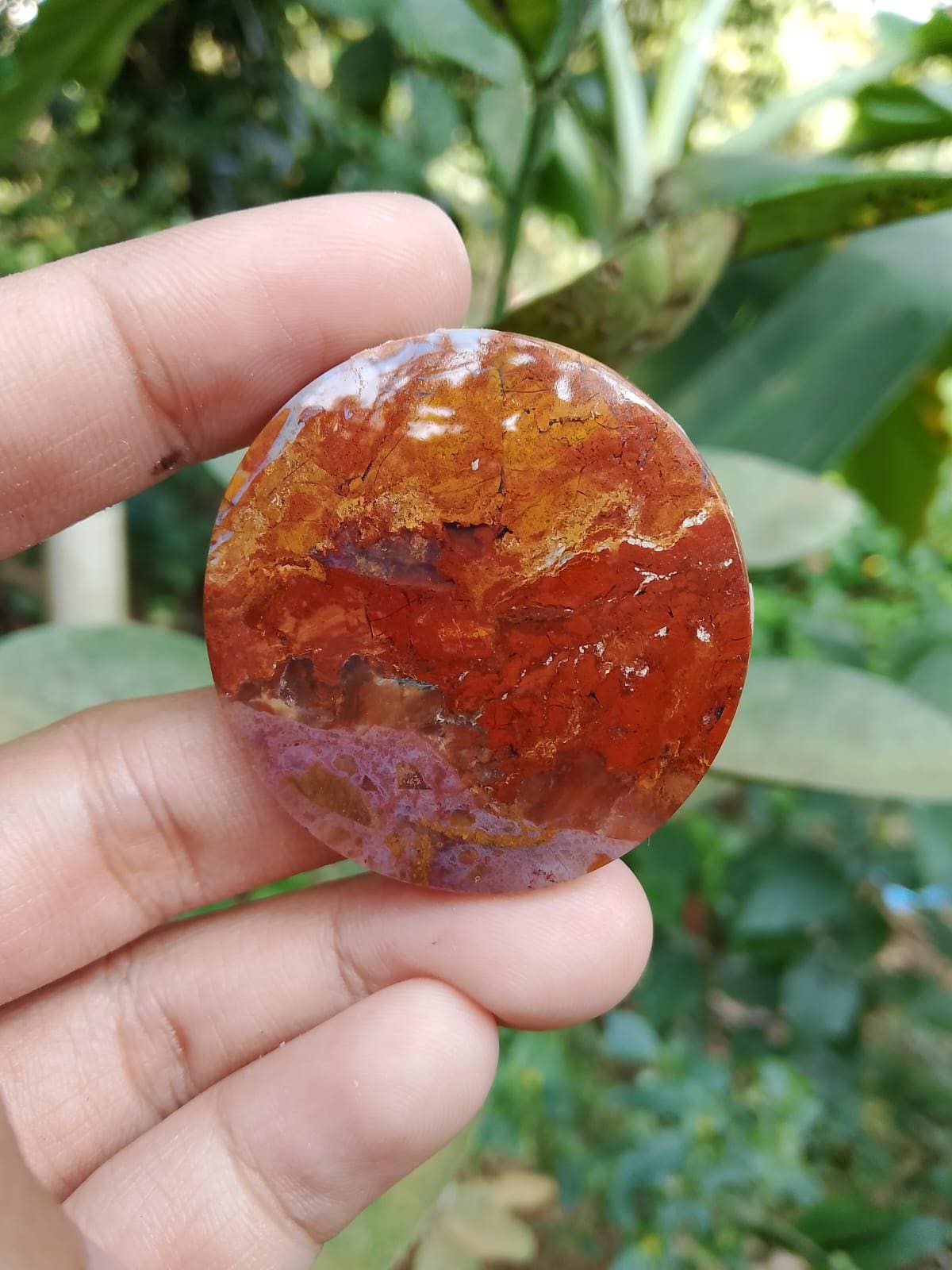 オパール化した珪化木 - Etsy 日本