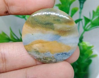 scenic opalized petrified wood